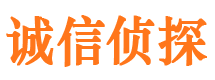 枞阳市私家侦探